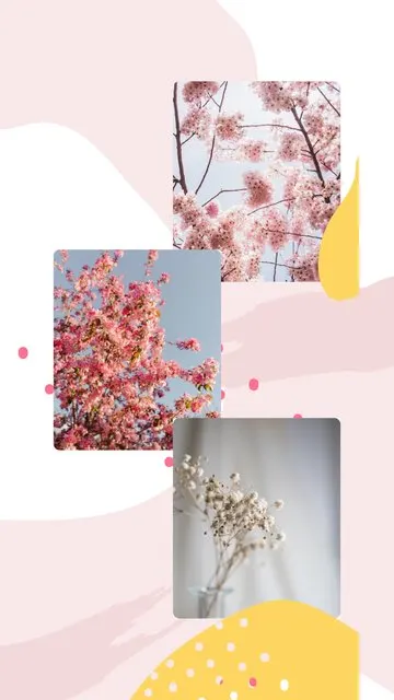 Blossom Dream