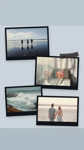 Windswept Frames