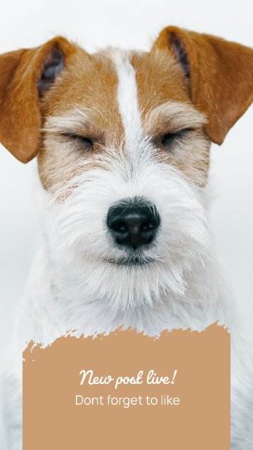 Brush Post Alert – Business Instagram story templates