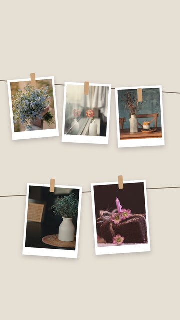 Clothesline – Photo Dump Instagram story templates