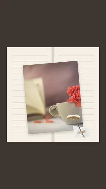 Between the Pages